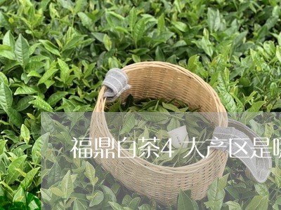 福鼎白茶4大产区是哪里/2023092505847