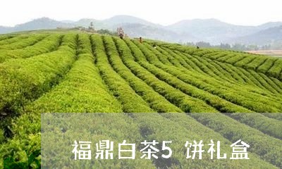 福鼎白茶5饼礼盒/2023111695068