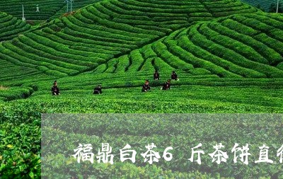 福鼎白茶6斤茶饼直径/2023120656958