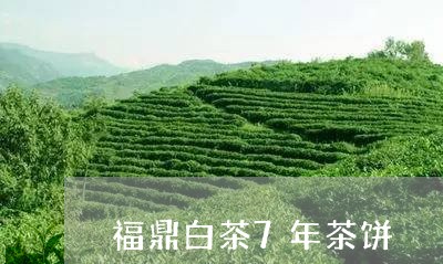 福鼎白茶7年茶饼/2023082647149