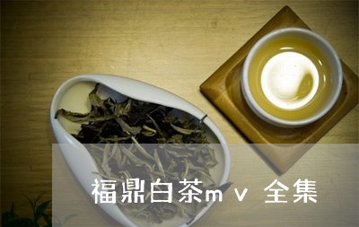 福鼎白茶mv全集/2023070798361