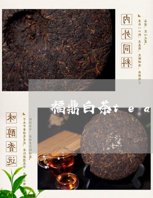 福鼎白茶tea精选茶价格/2023110901937