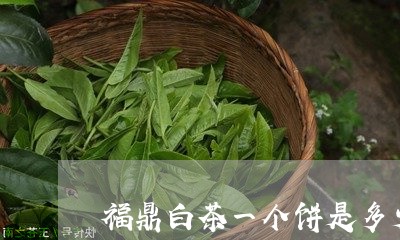 福鼎白茶一个饼是多少/2023120785147