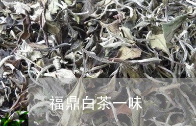 福鼎白茶一味/2023052280713