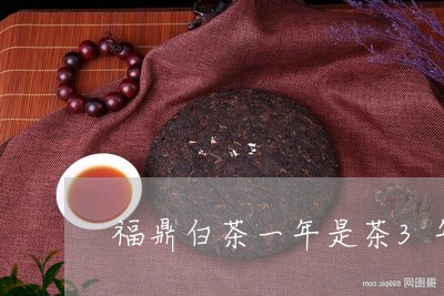 福鼎白茶一年是茶3年是药/2023111611794