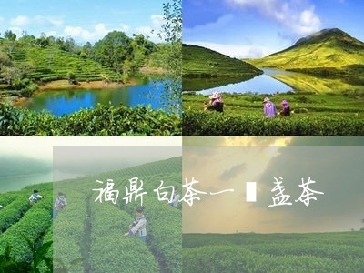 福鼎白茶一憶盏茶/2023111664127