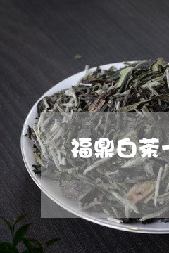 福鼎白茶一斤多少泡茶好/2023092445158