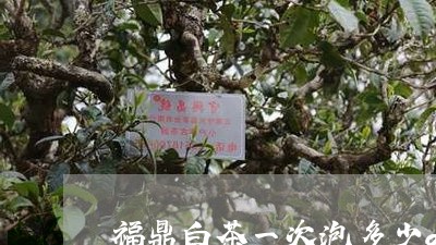 福鼎白茶一次泡多少g/2023120707158