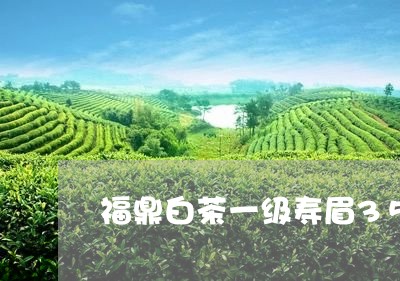 福鼎白茶一级寿眉350/2023092102938