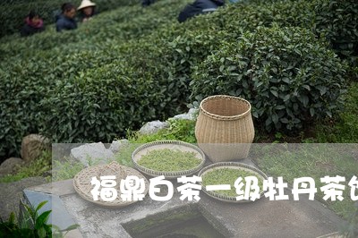 福鼎白茶一级牡丹茶饼/2023120636158