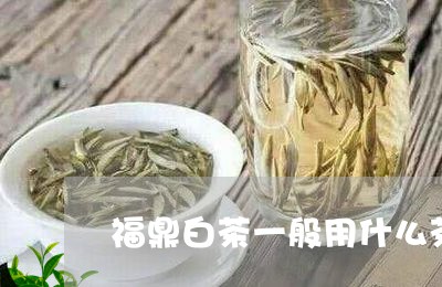 福鼎白茶一般用什么茶/2023091513504