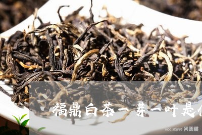 福鼎白茶一芽一叶是什么茶/2023042603937