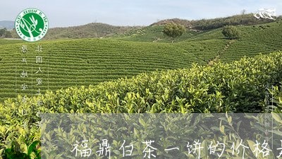 福鼎白茶一饼的价格是多少/2023042640614