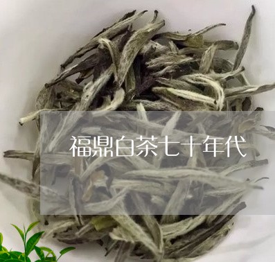 福鼎白茶七十年代/2023111551491