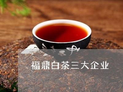 福鼎白茶三大企业/2023070766936