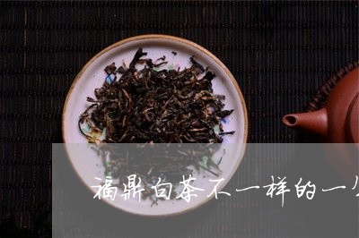 福鼎白茶不一样的一年/2023091505826