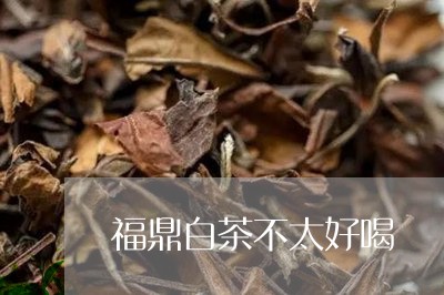 福鼎白茶不太好喝/2023112530371