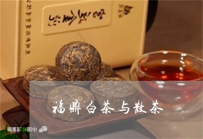 福鼎白茶与散茶/2023112574939