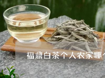 福鼎白茶个人农家哪个好/2023092252726