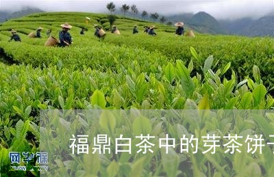 福鼎白茶中的芽茶饼子/2023120867059