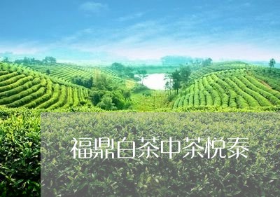 福鼎白茶中茶悦泰/2023112639572