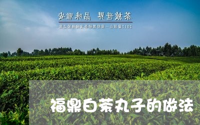 福鼎白茶丸子的做法/2023120504048