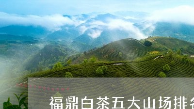 福鼎白茶五大山场排名第几/2023042550717