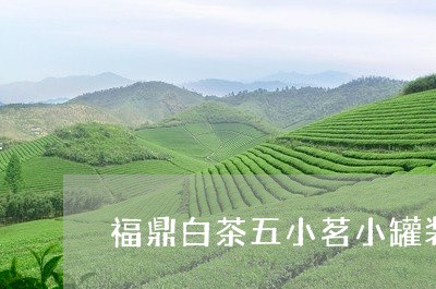 福鼎白茶五小茗小罐装/2023091513274