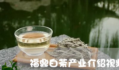 福鼎白茶产业介绍视频图片/2023042605270