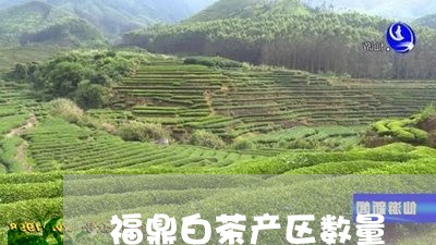 福鼎白茶产区数量/2023062848503