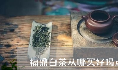 福鼎白茶从哪买好喝点/2023120648584