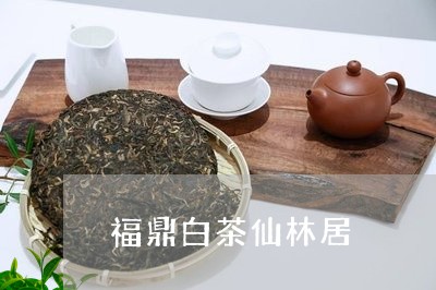 福鼎白茶仙林居/2023082552817