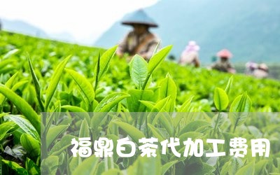 福鼎白茶代加工费用/2023091302017