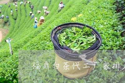 福鼎白茶代工厂家排名前十/2023042595048