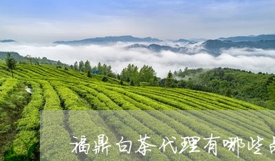 福鼎白茶代理有哪些品牌的/2023042564270