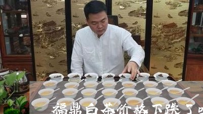 福鼎白茶价格下跌了吗现在/2023111686178