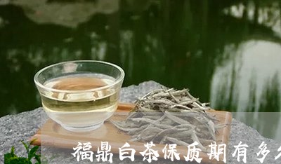 福鼎白茶保质期有多久的/2023092206371