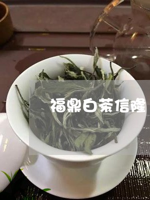 福鼎白茶信隆/2023062800804