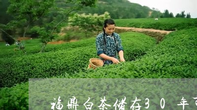 福鼎白茶储存30年可以喝吗/2023111436150