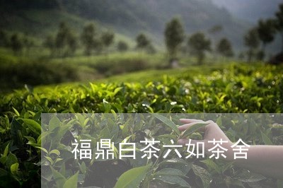 福鼎白茶六如茶舍/2023112580463