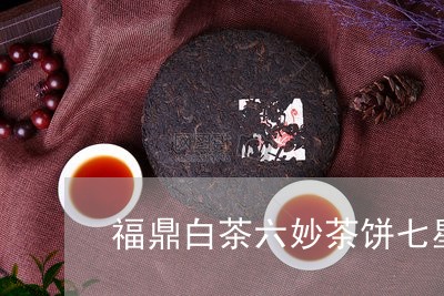 福鼎白茶六妙茶饼七星捧月/2023092603825