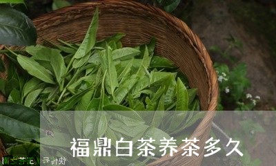 福鼎白茶养茶多久/2023062876159