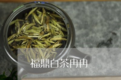 福鼎白茶冉冉/2023062818269