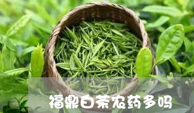 福鼎白茶农药多吗/2023070794037