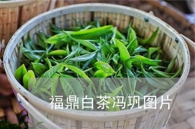 福鼎白茶冯巩图片/2023070771525