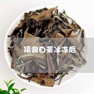 福鼎白茶冰冻后/2023060864927