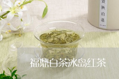 福鼎白茶冰岛红茶/2023112692827