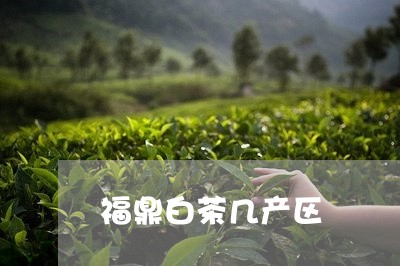 福鼎白茶几产区/2023060877483