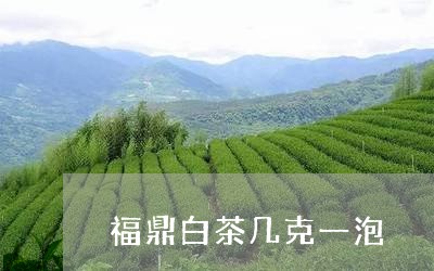 福鼎白茶几克一泡/2023090923849