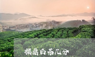 福鼎白茶几分/2023112556049